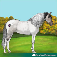 Horse Color:Brown Roan Dun Mushroom Tobiano