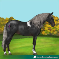 Horse Color:Gray Silver Brown Mushroom Tobiano 