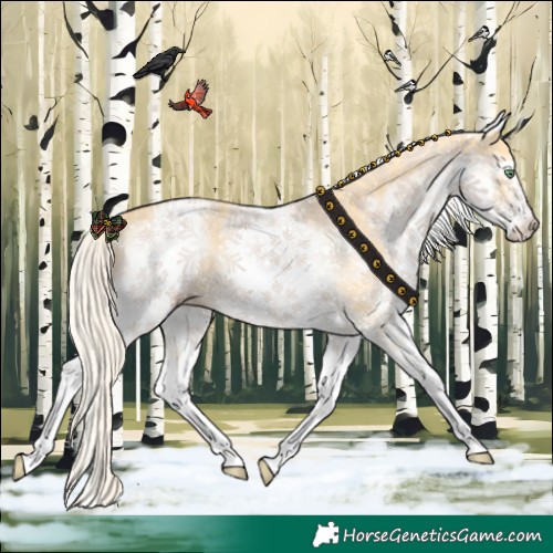 Horse Color:White Spotted Gold Cream Champagne 