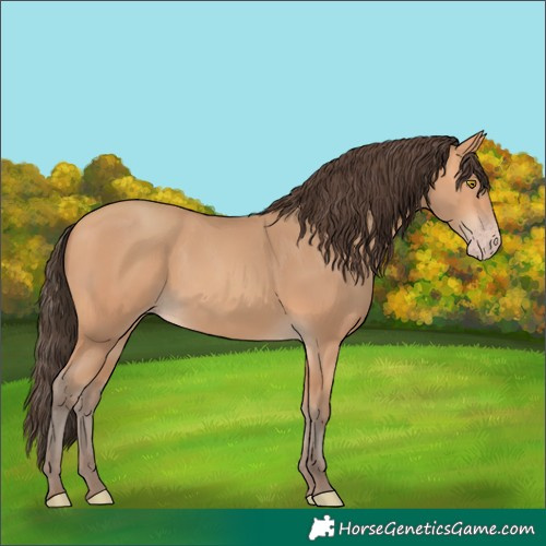 Horse Color:Amber Champagne 