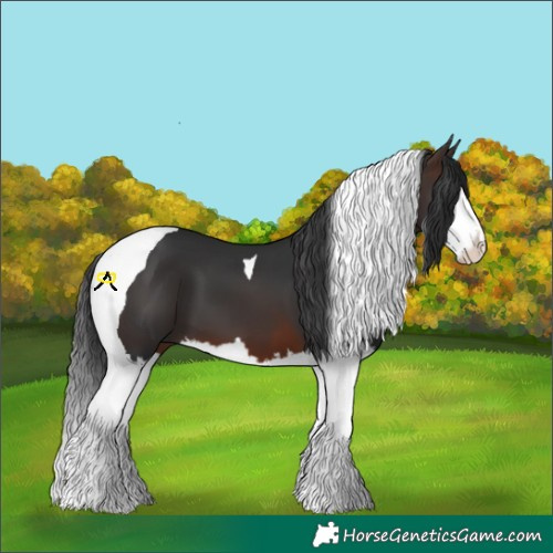 Horse Color:Brown Sabino Splash Tobiano