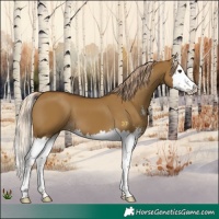 Horse Color:Chocolate Palomino Dun Sabino Splash
