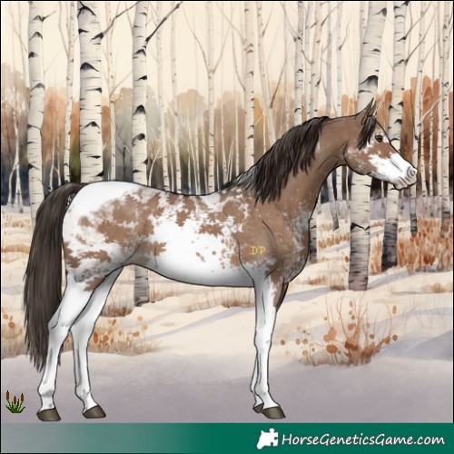 Horse Color:White Spotted Liver Red Dun Tobiano