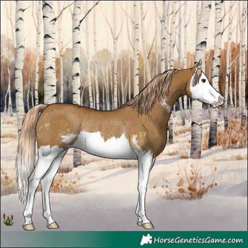 Horse Color:Chocolate Palomino Dun Sabino Splash Rabicano