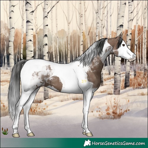 Horse Color:Liver Red Dun Splash Tobiano