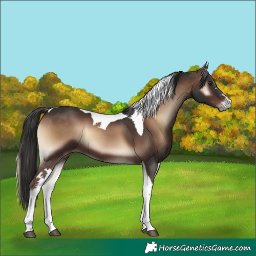 Horse Color:Liver Red Onyx Tobiano 