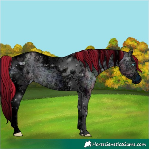 Horse Color:ERROR: UNKNOWN ANOMALY