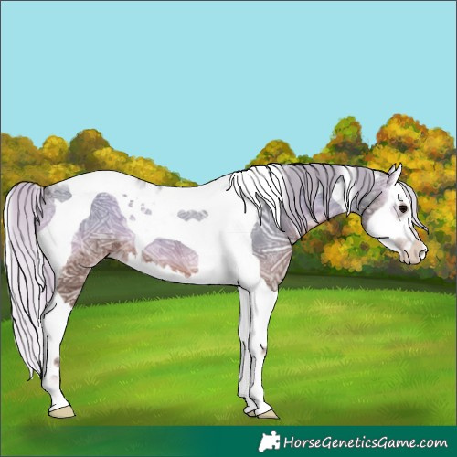 Horse Color:Silver Blue Onyx Ice Splash Tobiano 