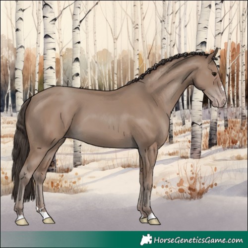 Horse Color:Classic Champagne
