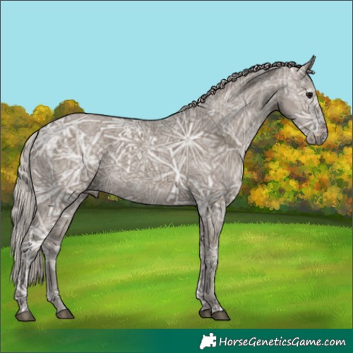 Horse Color:Silver Grullo Ice Rabicano 