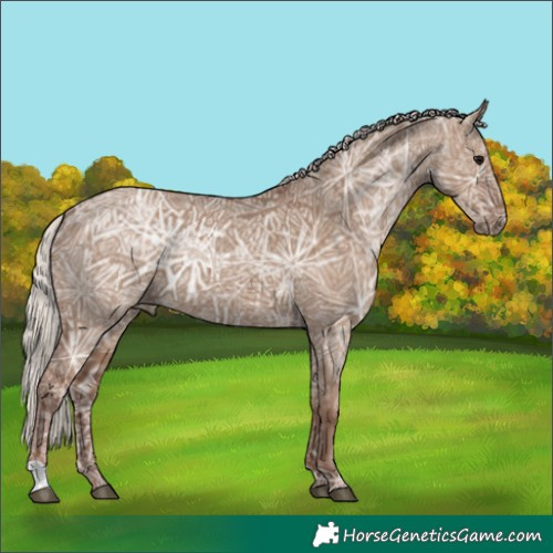 Horse Color:Silver Grullo Ice 