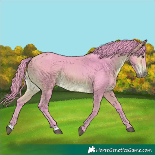 Horse Color:Watercolor Brown 