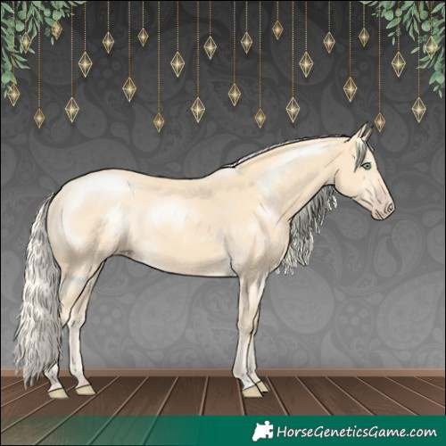 Horse Color:Gold Cream Champagne 