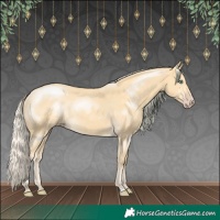 Horse Color:Gold Cream Champagne 