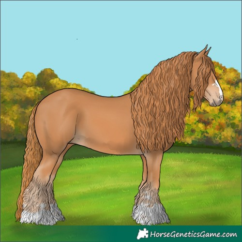 Horse Color:Chestnut 
