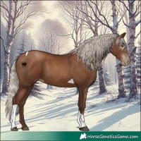 Horse Color:Gray Silver Black Pearl Tobiano 
