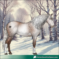 Horse Color:Gray Silver Black Pearl Tobiano 
