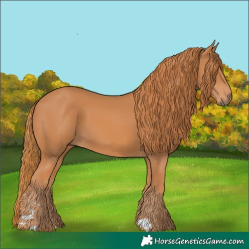Horse Color:Chestnut 
