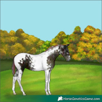 Horse Color:Painted Midnight Brown Ice Onyx Tobiano