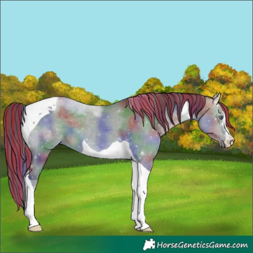 Horse Color:Painted Nacre Brown Chinchilla Dun Tobiano