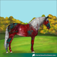 Horse Color:ERROR: UNKNOWN ANOMALY