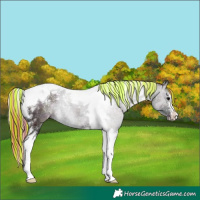 Horse Color:Painted Midnight Chocolate Blue Onyx Ice Tobiano 