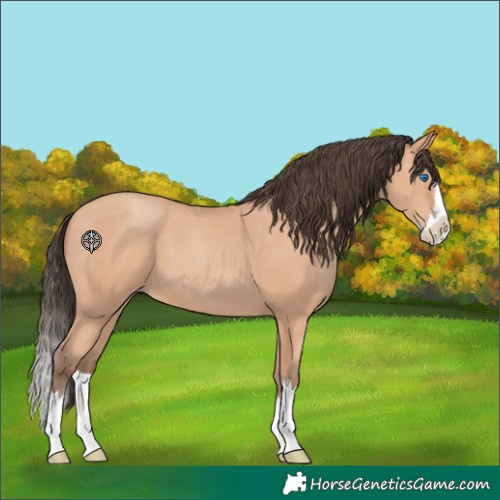 Horse Color:Amber Champagne Splash