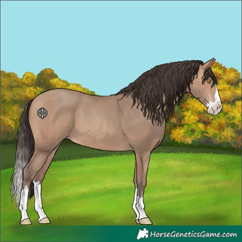 Horse Color:Amber Champagne Splash