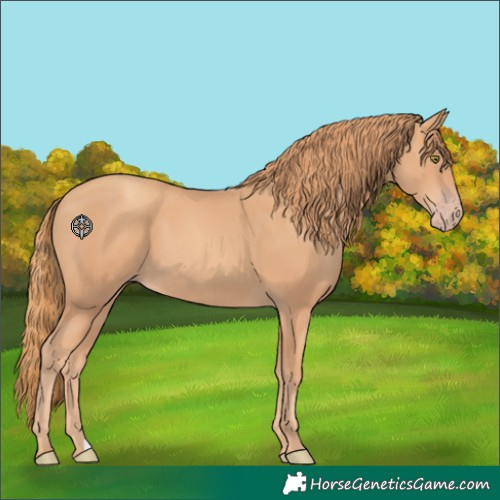 Horse Color:Gold Champagne 