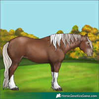 Horse Color:Gray Silver Black Pearl Tobiano 