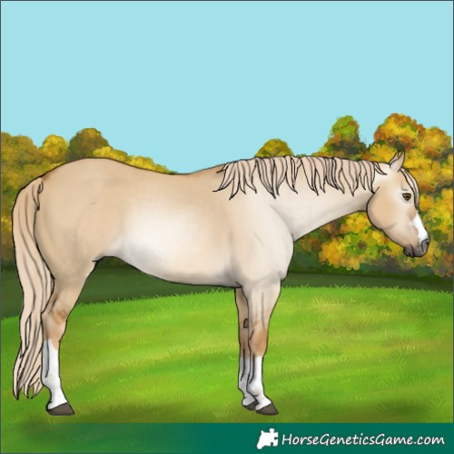 Horse Color:Unknown 