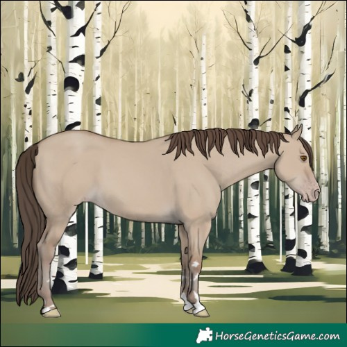 Horse Color:Classic Champagne Dun 