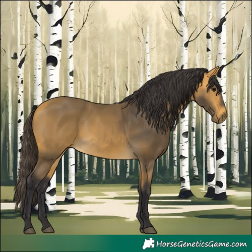 Horse Color:Buckskin