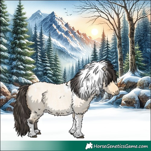 Horse Color:Buckskin Roan Dun Tobiano 