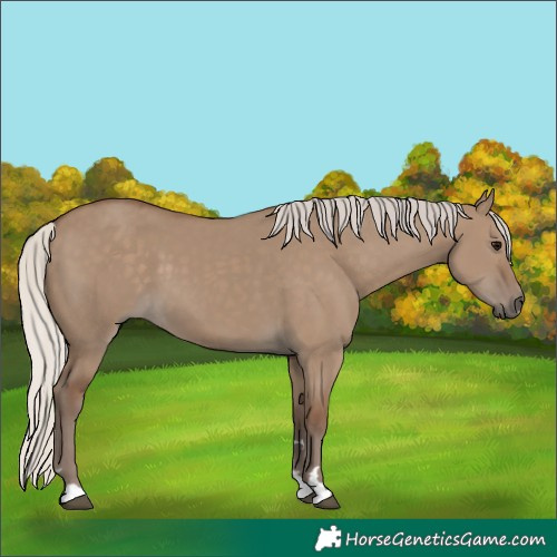 Horse Color:Silver Grullo 