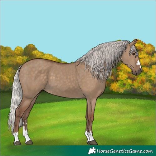 Horse Color:Silver Grullo 