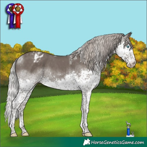 Horse Color:Powder White Silver Black Splash Tobiano Blanket 