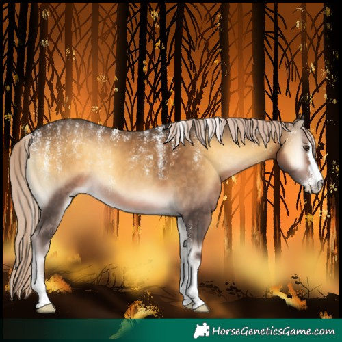 Horse Color:Powder White Chocolate Palomino Onyx 