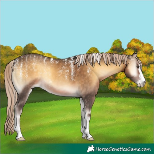 Horse Color:Powder White Chocolate Palomino Onyx 