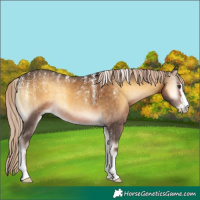 Horse Color:Powder White Chocolate Palomino Onyx