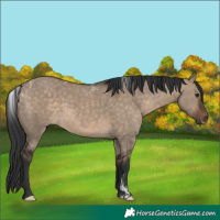 Horse Color:Powder White Brown Dun