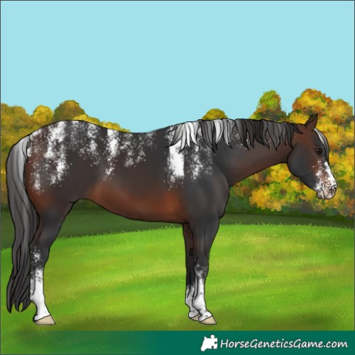 Horse Color:Powder White Brown 