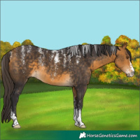 Horse Color:Powder White Buckskin 