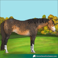 Horse Color:Powder White Buckskin
