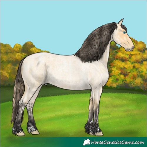 Horse Color:Buckskin Roan Pearl  and Buckskin Roan 