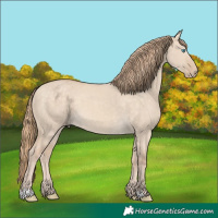 Horse Color:Perlino Dun 