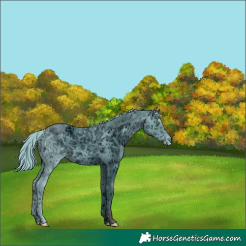 Horse Color:ERROR: UNKNOWN ANOMALY