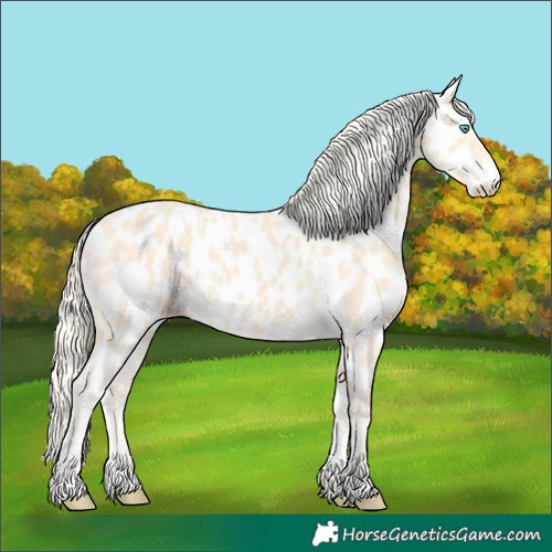 Horse Color:Cremello Near Leopard