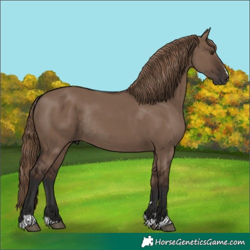 Horse Color:Liver Red Dun Rabicano 