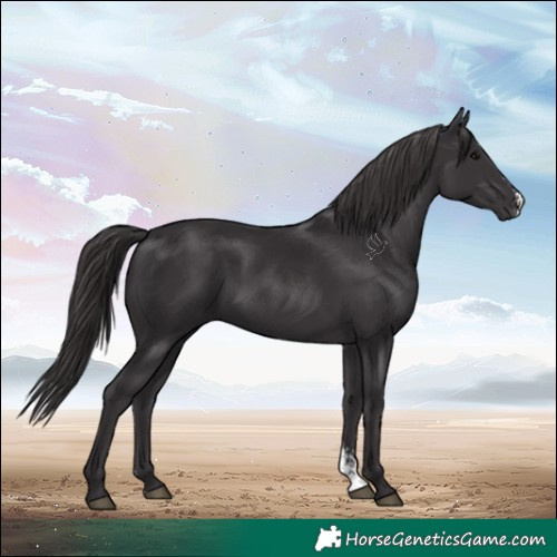 Horse Color:Smoky Black Sabino 